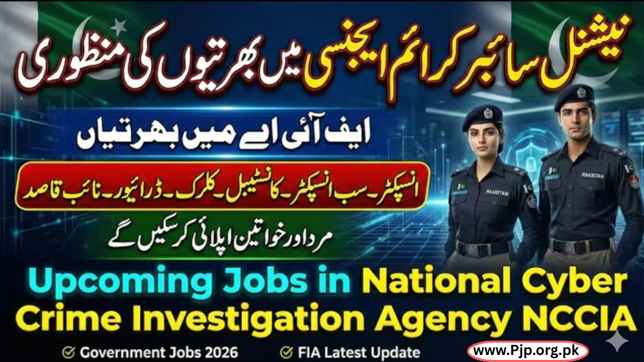 NCCIA Jobs 2026 Online Apply